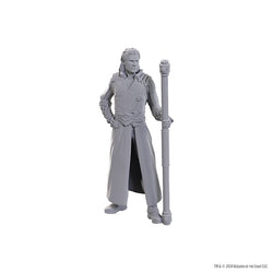 Nolzur's Marvelous Miniatures - Special Edition Baldur's Gate 3: Gale & Astarion