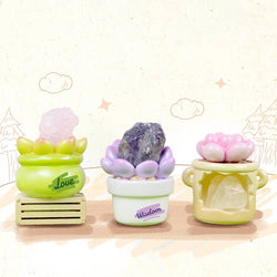 71314 Cactus & Succulent Crystal Blind Box