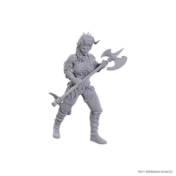 Nolzur's Marvelous Miniatures - Special Edition Baldur's Gate 3: Wyll & Karlach