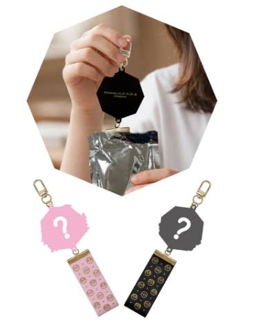 Pokemon Diorama Acrylic Keyring Blind Box