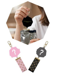 Pokemon Diorama Acrylic Keyring Blind Box