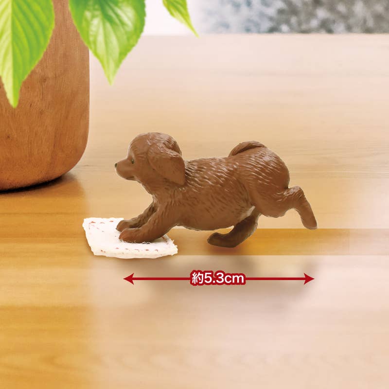 【JAPANESE BIND BOX】FLOOR SCRUBBING DUTY – ALL FOR ONE!
