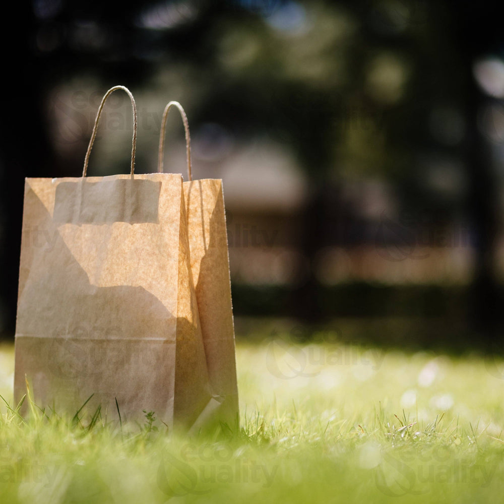 10x5x13 Medium Kraft Paper Gift Bags w/Twine Handles Brown: 100pcs