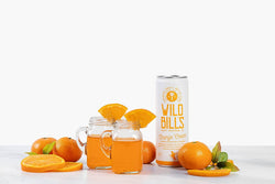 Wild Bill's - Orange Cream: Premium Cane Sugar Soda
