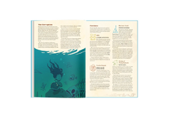 Obojima: Tales from the Tall Grass – Hardcover Campaign Book