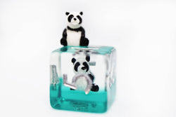 Panda on Water RPG Dice Set