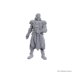 Nolzur's Marvelous Miniatures - Special Edition Baldur's Gate 3: Jaheira & Halsin