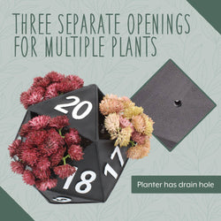 Esterno 20-Sided Dice Planter Pot