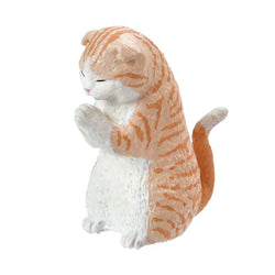【JAPANESE BIND BOX】PRAYER CAT 2