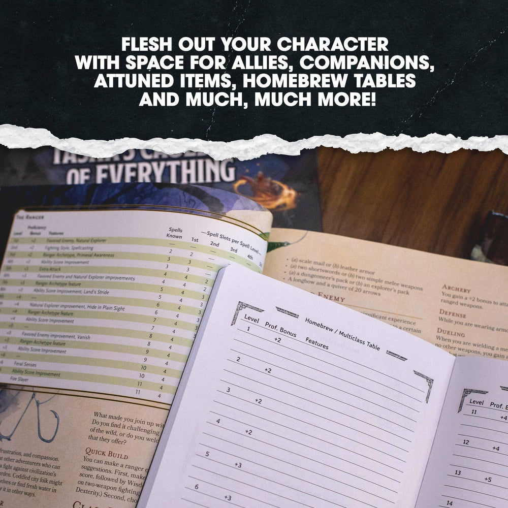 Hero Journals: Player Character Notebooks 3-Pack: Blue