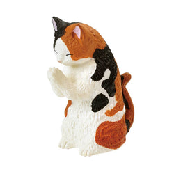 【JAPANESE BIND BOX】PRAYER CAT 2