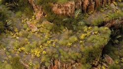 GamerGrass Broom Flower