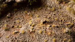 GamerGrass Tiny Beige