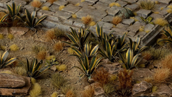GamerGrass Agave